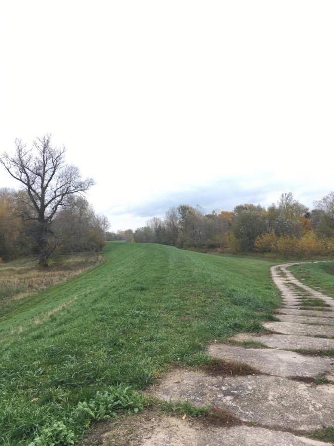 Chata Nad Wisla U Macieja Dobrzyków Exterior foto